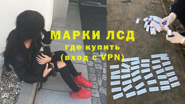 PSILOCYBIN Алзамай