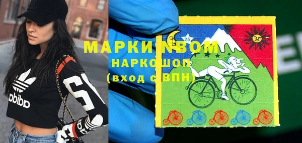 шишки Алексин