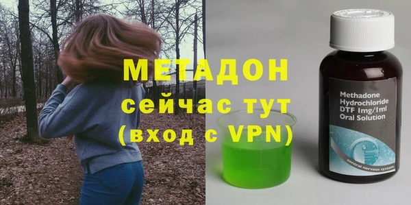 PSILOCYBIN Алзамай