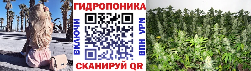 Шишки марихуана Amnesia  shop телеграм  Оренбург  цены  
